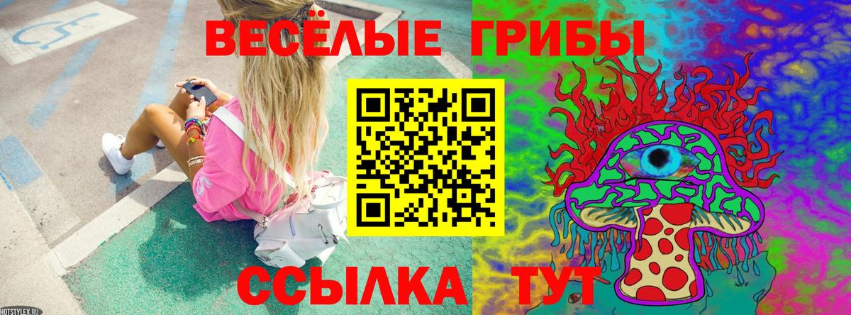 Галлюциногенные грибы Cubensis  Вход с VPN  Белгород 