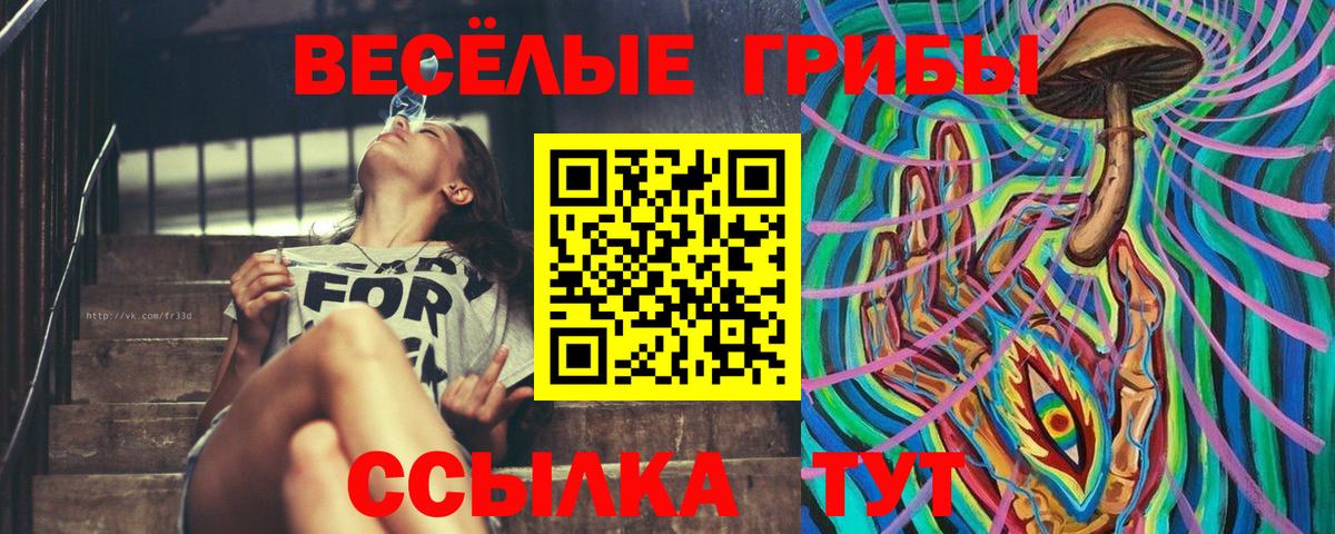Псилоцибиновые грибы Psilocybe Белгород